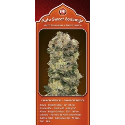 AUTO SWEET SOMANGO - OO Seeds SEEDS-BANK.CZ JIHLAVA