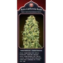 Auto California Kush - OO Seeds SEEDS-BANK.CZ JIHLAVA