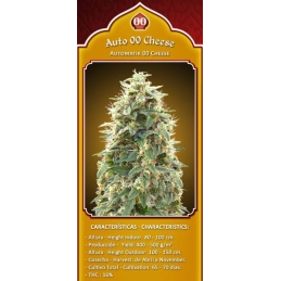 Auto 00 Cheese - OO Seeds SEEDS-BANK.CZ JIHLAVA