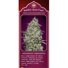 BUBBLE GUM FAST - OO Seeds SEEDS-BANK.CZ JIHLAVA