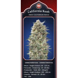 CALIFORNIA KUSH - OO Seeds - SEEDS-BANK.CZ JIHLAVA
