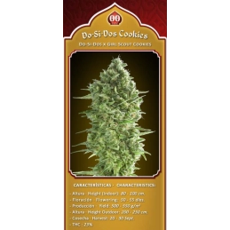 DO-SI-DOS COOKIES - OO Seeds - SEEDS-BANK.CZ JIHLAVA