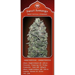 SWEET SOMANGO - OO Seeds - SEEDS-BANK.CZ JIHLAVA