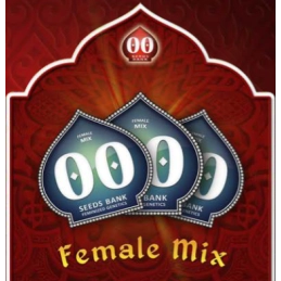 Female Mix – 00 Seeds – fotoperiodický, feminizovaný mix semen konopí