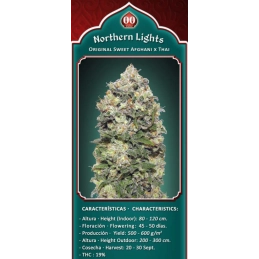 NORTHERN LIGHTS - OO Seeds - SEEDS-BANK.CZ JIHLAVA