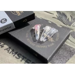 Auto Collection pack 1 - Paradise Seeds - WWW.SEEDS-BANK.CZ
