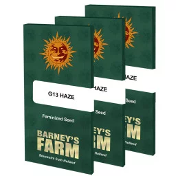 G13 Barney´s Farm SEEDS-BANK.CZ