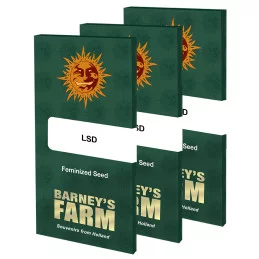 L.S.D Barney´s Farm SEEDS-BANK.CZ