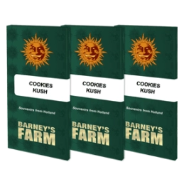Cookies Kush Barney´s Farm SEEDS-BANK.CZ