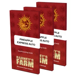 Pineapple Express Auto Barney´s Farm SEEDS-BANK.CZ
