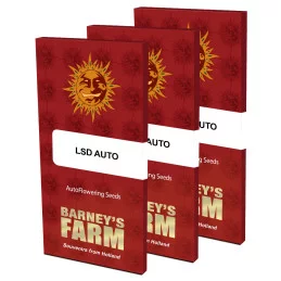 LSD Auto ™ Barney´s Farm SEEDS-BANK.CZ