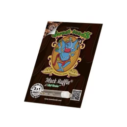 Black Muffin F1 Fast Version® - Sweet Seeds - WWW.SEEDS-BANK.CZ