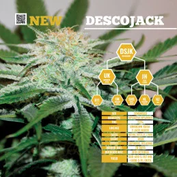 Descojack ® - Delicious Seeds - WWW.SEEDS-BANK.CZ