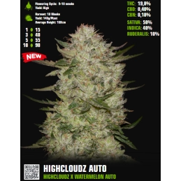 HighCloudZ Auto - Green House Seeds USA Genetic - WWW.SEEDS-BANK.CZ
