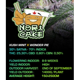 Nori Cake - Cannabis Seeds - WWW.SEEDS-BANK.CZ