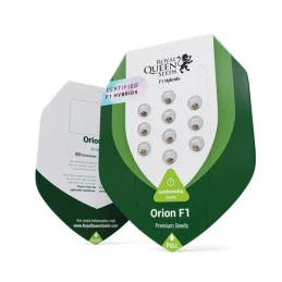 Orion F1- Royal Queen Seeds - F1 Hybrid Auto - WWW.SEEDS-BANK.CZ