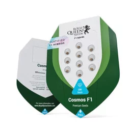 Cosmos F1 CBD - Royal Queen Seeds - F1 Hybrid Auto CBD - WWW.SEEDS-BANK.CZ