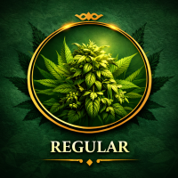 Regular - nefeminizovaná