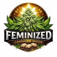 Barney's Farm feminizovaná semena | SEEDS-BANK.CZ