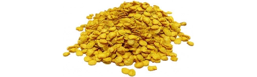 Semena chilli