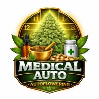 CBD Autoflowering