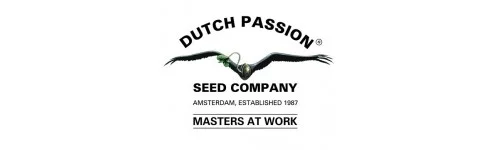 DUTCH PASSION