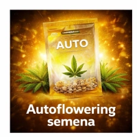OO Seeds Autoflowering – samonakvétací semena | SEEDS-BANK.CZ