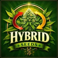 Hybrid