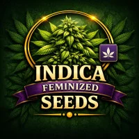 Převládá indica
