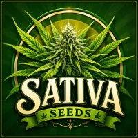 Převládá sativa