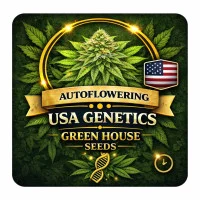 Autoflowering USA Genetic