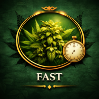 F1 Fast - rychle kvetoucí