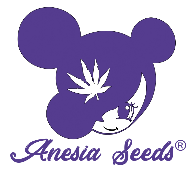 Anesia Seeds